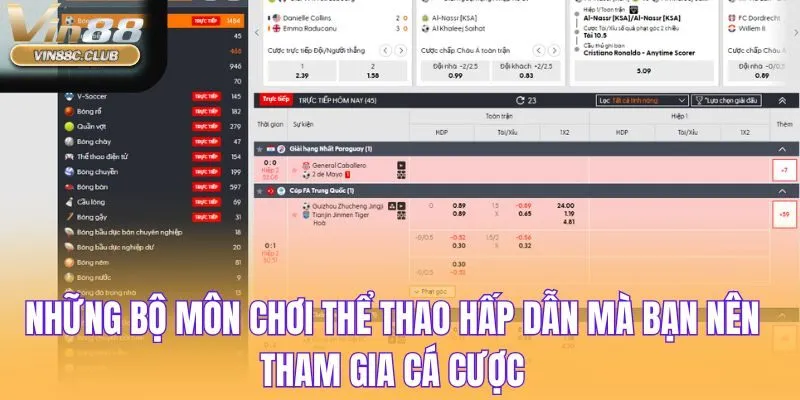 Những bộ môn chơi thể thao hấp dẫn mà bạn nên tham gia cá cược